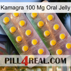 Kamagra 100Mg Oral Jelly new10